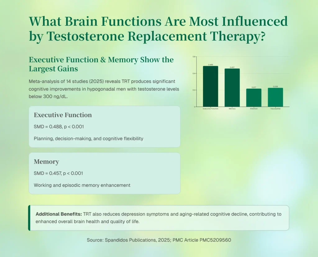 What Brain Functions Are Most Influenced by TRT