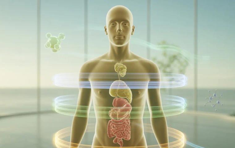 How Does Bioidentical Hormone Therapy Affect Long-Term Wellness and Preventive Health?