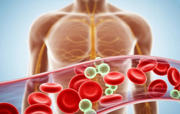 How Does Bioidentical Testosterone Therapy Affect Red Blood Cell Levels and Energy in the Body Over Time?